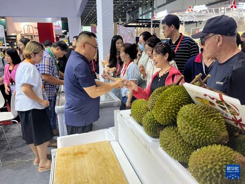 從高端工藝品到大眾消費品 馬來西亞企業(yè)借力消博會開拓中國市場